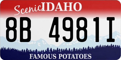 ID license plate 8B4981I