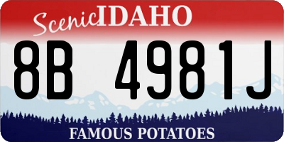 ID license plate 8B4981J