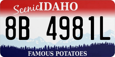 ID license plate 8B4981L