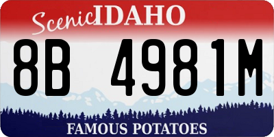 ID license plate 8B4981M