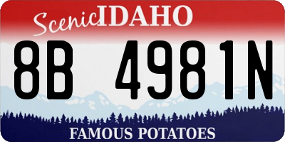 ID license plate 8B4981N