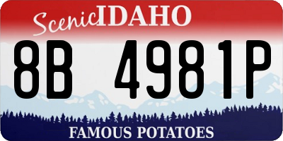 ID license plate 8B4981P