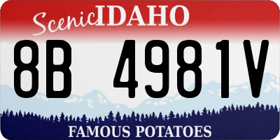 ID license plate 8B4981V