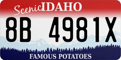 ID license plate 8B4981X