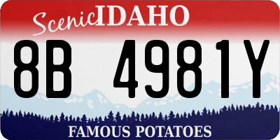 ID license plate 8B4981Y