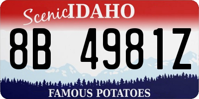 ID license plate 8B4981Z
