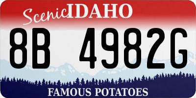 ID license plate 8B4982G