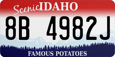 ID license plate 8B4982J