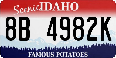 ID license plate 8B4982K