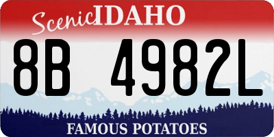 ID license plate 8B4982L