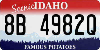 ID license plate 8B4982Q