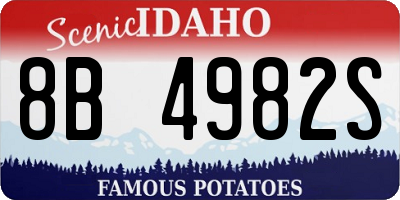 ID license plate 8B4982S