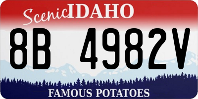 ID license plate 8B4982V