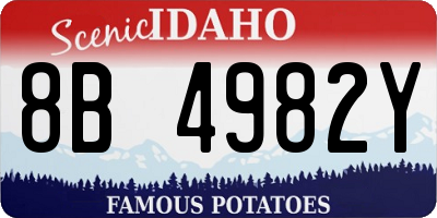 ID license plate 8B4982Y