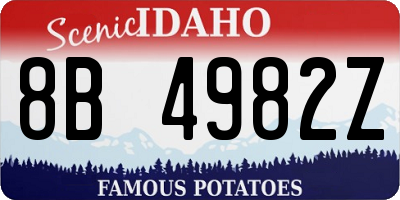 ID license plate 8B4982Z
