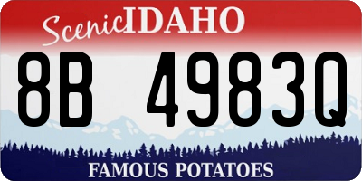 ID license plate 8B4983Q