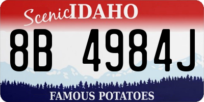 ID license plate 8B4984J