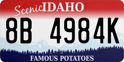 ID license plate 8B4984K