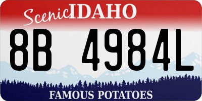 ID license plate 8B4984L