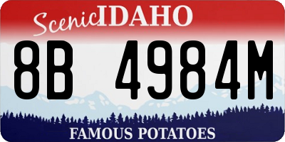 ID license plate 8B4984M