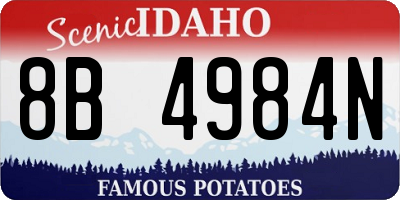 ID license plate 8B4984N