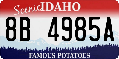 ID license plate 8B4985A