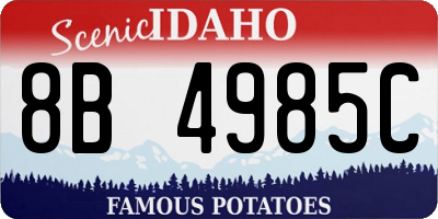 ID license plate 8B4985C