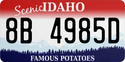 ID license plate 8B4985D