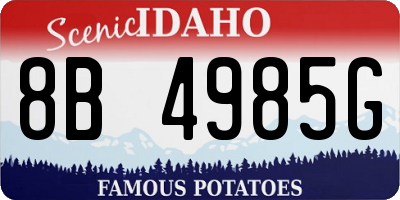 ID license plate 8B4985G