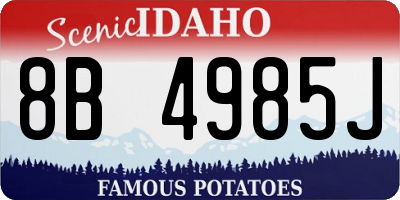 ID license plate 8B4985J