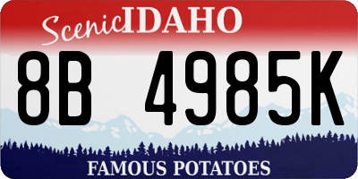 ID license plate 8B4985K