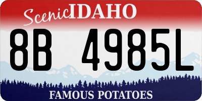 ID license plate 8B4985L