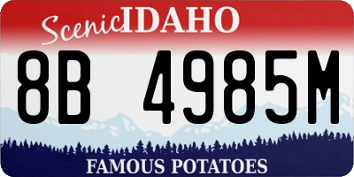ID license plate 8B4985M