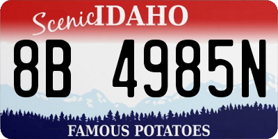 ID license plate 8B4985N