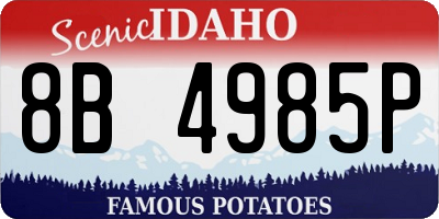 ID license plate 8B4985P
