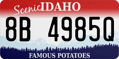 ID license plate 8B4985Q