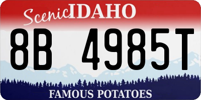 ID license plate 8B4985T