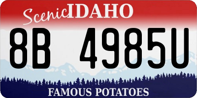 ID license plate 8B4985U