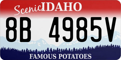 ID license plate 8B4985V