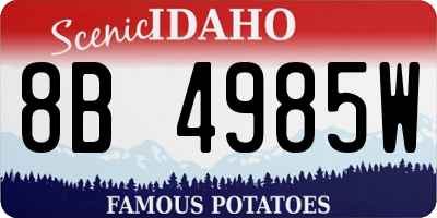 ID license plate 8B4985W