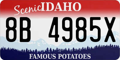 ID license plate 8B4985X