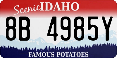 ID license plate 8B4985Y