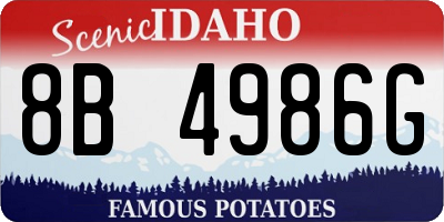 ID license plate 8B4986G