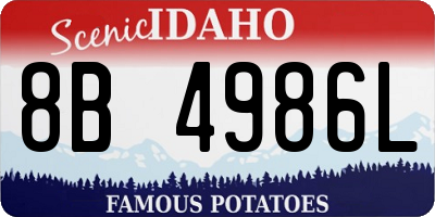 ID license plate 8B4986L