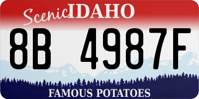 ID license plate 8B4987F