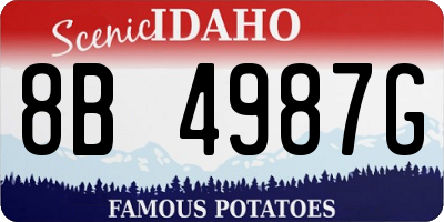 ID license plate 8B4987G