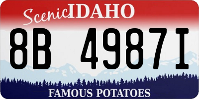 ID license plate 8B4987I