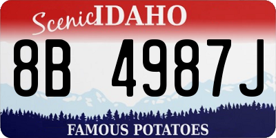 ID license plate 8B4987J
