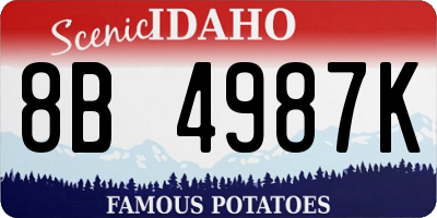 ID license plate 8B4987K