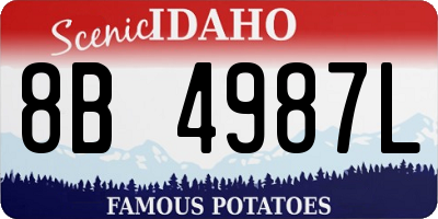 ID license plate 8B4987L